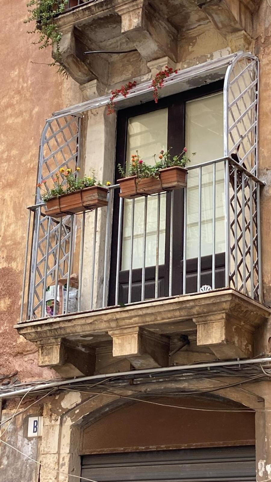 Gasthof Ciuri Tuttu L'annu Catania