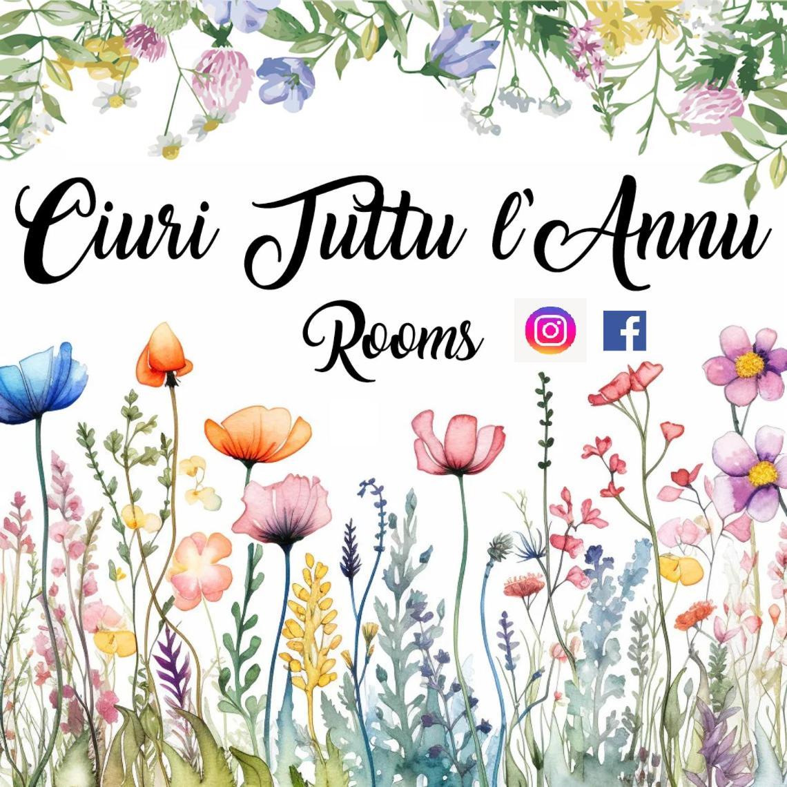 Ciuri Tuttu L'annu Catania